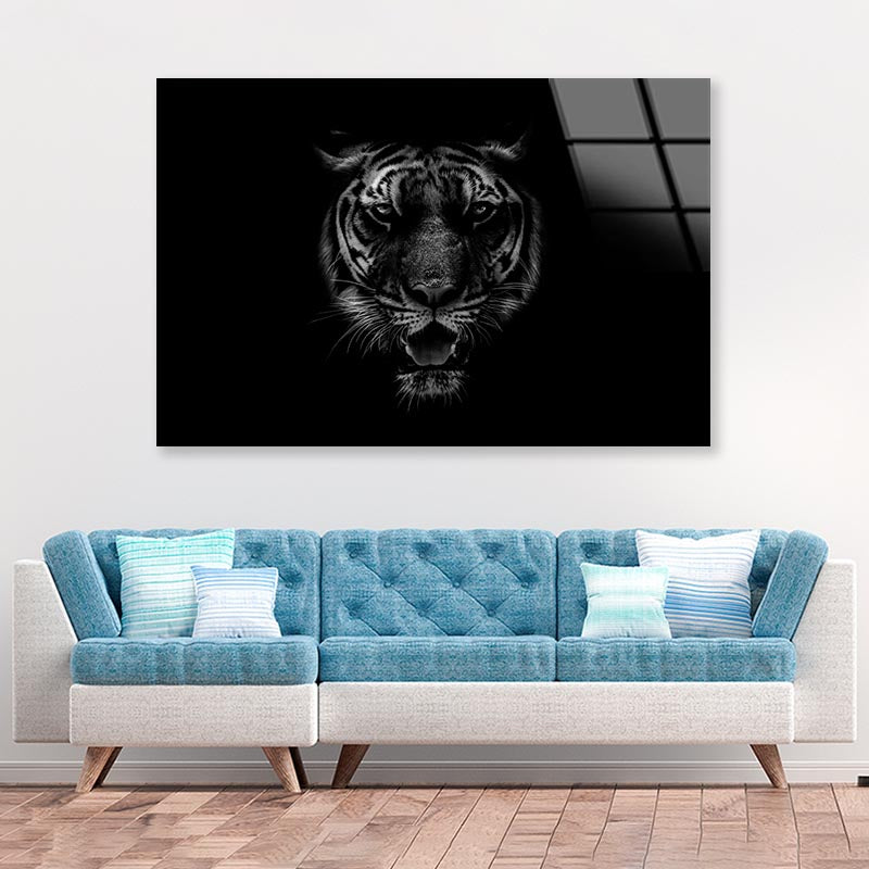 Black & White Beautiful Tiger on Black Acrylic Glass Print Tempered Glass Wall Art 100% Made in Australia Ready to Hang - Bella Home Decor
