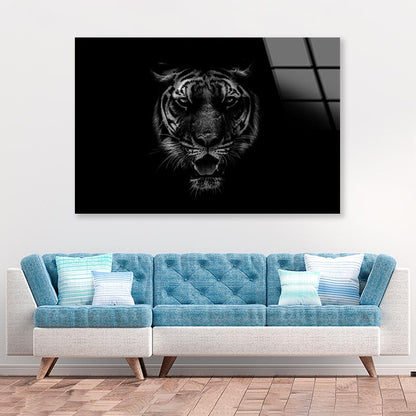Black & White Beautiful Tiger on Black Acrylic Glass Print Tempered Glass Wall Art 100% Made in Australia Ready to Hang - Bella Home Decor