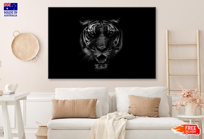 Black & White Beautiful Tiger on Black Wall Art Decor 100% Australian Made - Bella Home Decor