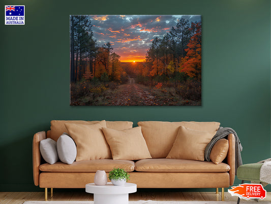 Sunrise in the Forest View Print 100% Australian Made - Bella Home Decor