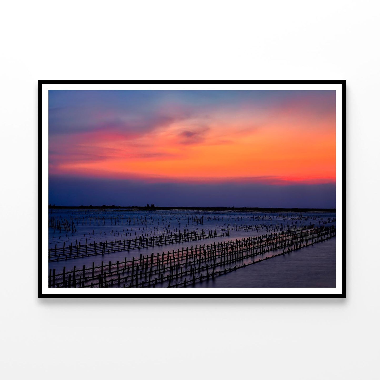 Beautiful Row Oyster Field Sea at Sunset Home Decor Premium Quality Poster Print Choose Your Sizes