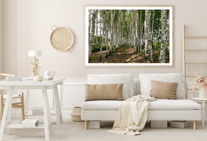 A Dirt Path Winding Through a Forest Home Decor Premium Quality Poster Print Choose Your Sizes