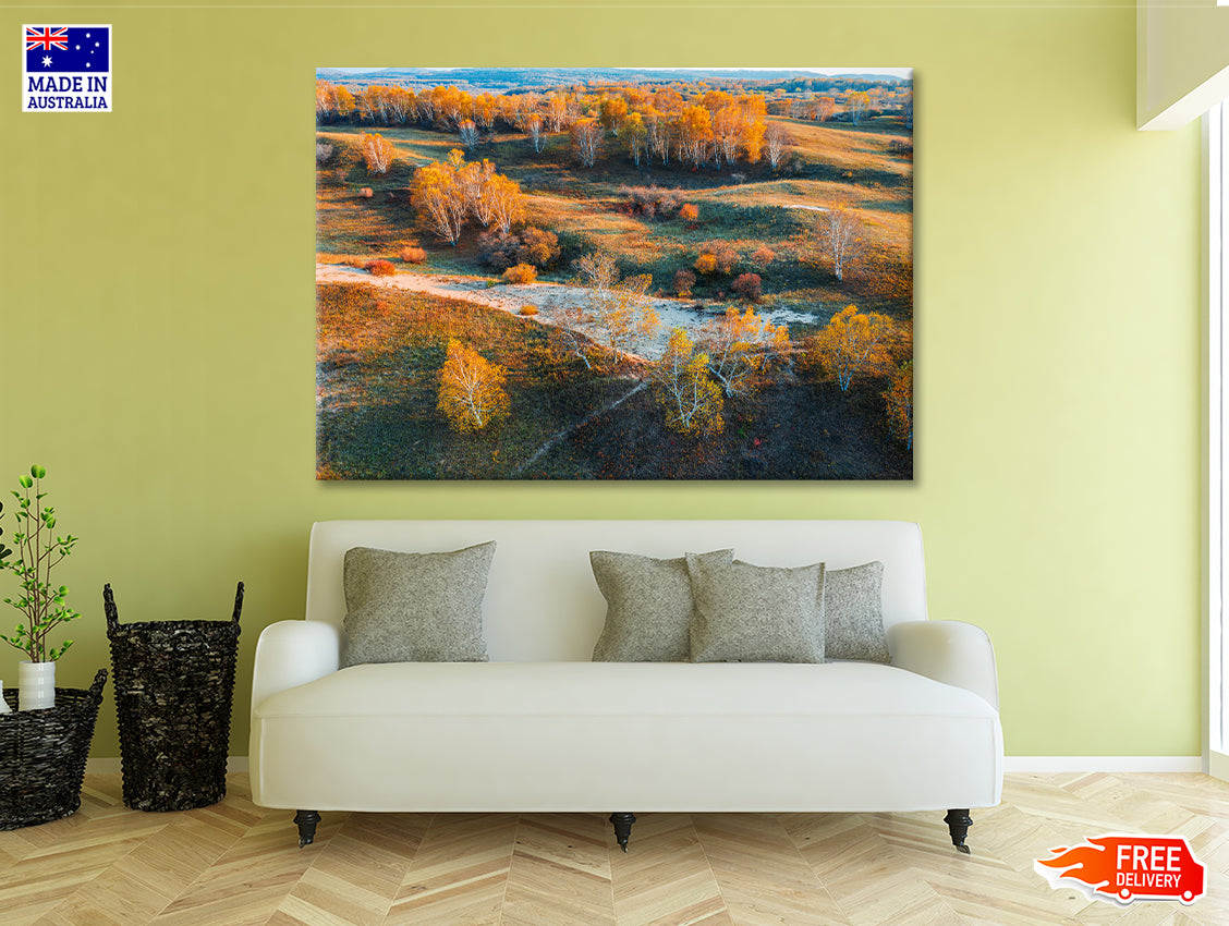 Beautiful Yellow Grassland Nature in autumn Print 100% Australian Made