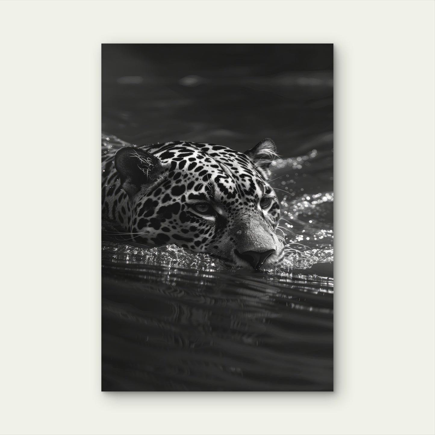 Beautiful Black White Jaguar 40x60cm Metal Print Ready to Hang