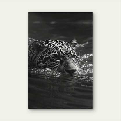 Beautiful Black White Jaguar 40x60cm Metal Print Ready to Hang