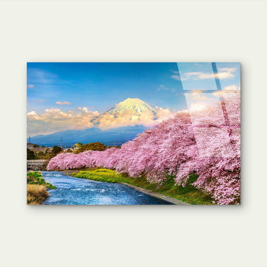 Japan Mount Fuji Cherry Blossom River Acrylic Glass Printing Wall Art Australian Made Quality