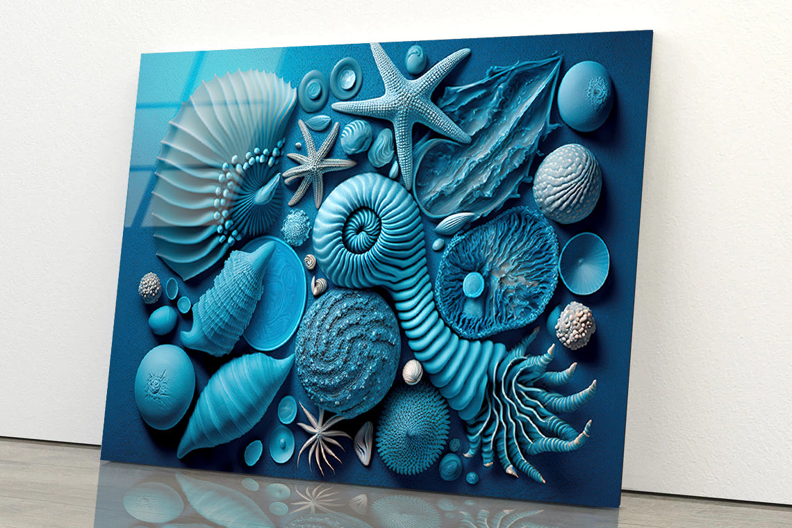 Group of Blue and White Shells Acrylic Glass Print Tempered Glass Wall Art 100% Made in Australia Ready to Hang - Bella Home Decor