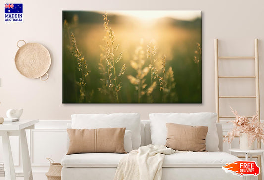 Green Grass in Summer Forest at Sunset Wall Art Decor 100% Australian Made