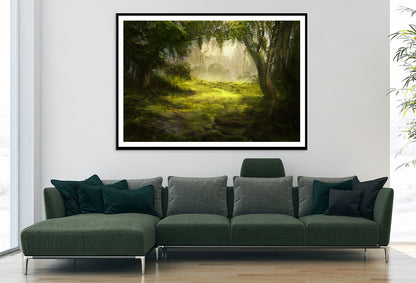 A Foggy Forest Scene with Trees and Grass Home Decor Premium Quality Poster Print Choose Your Sizes