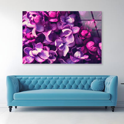 Purple Lilac Flowers Background Acrylic Glass Print Tempered Glass Wall Art 100% Made in Australia Ready to Hang