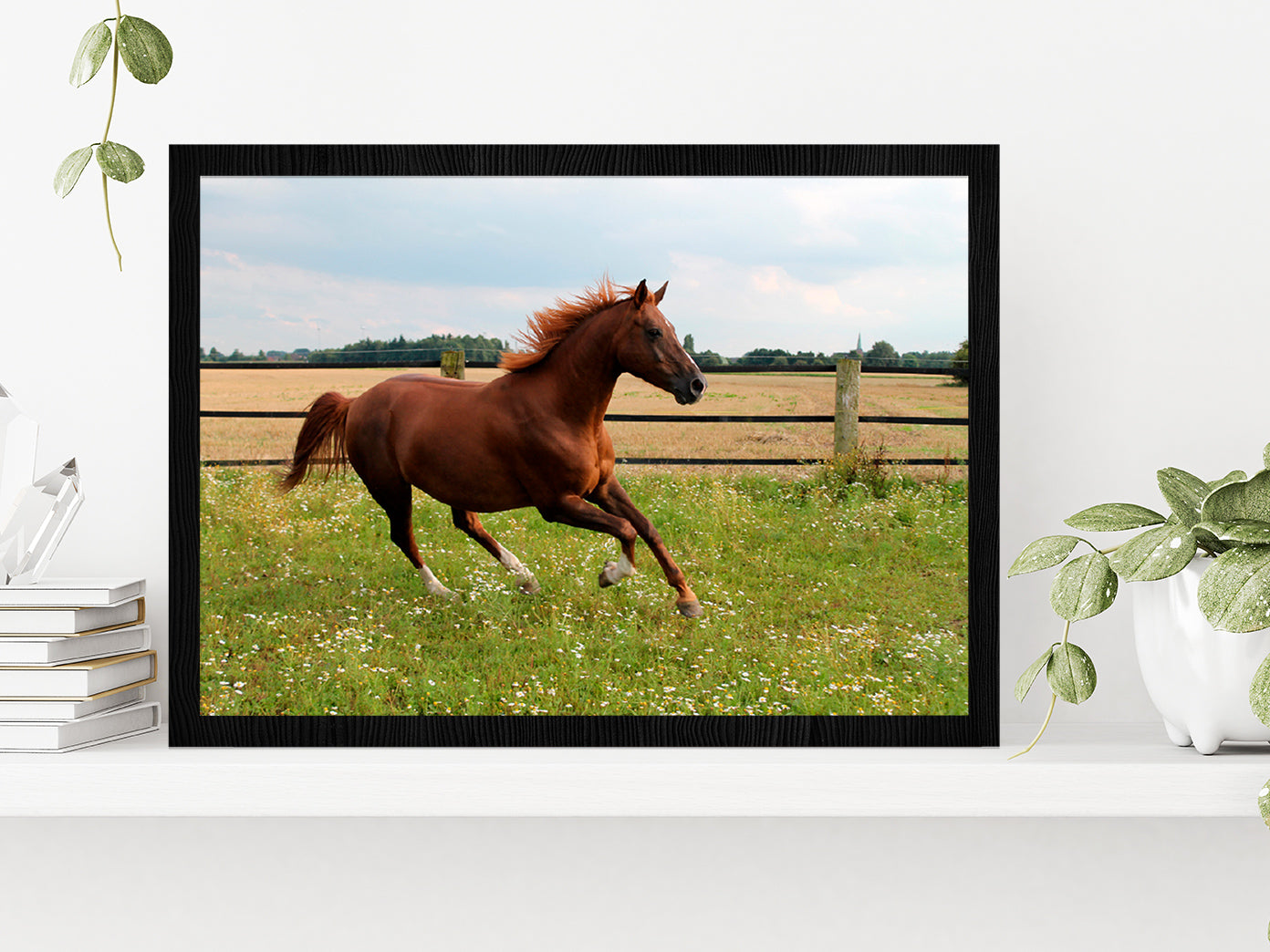 Horse Is Running On Paddock Glass Framed Wall Art, Ready to Hang Quality Print Without White Border Black