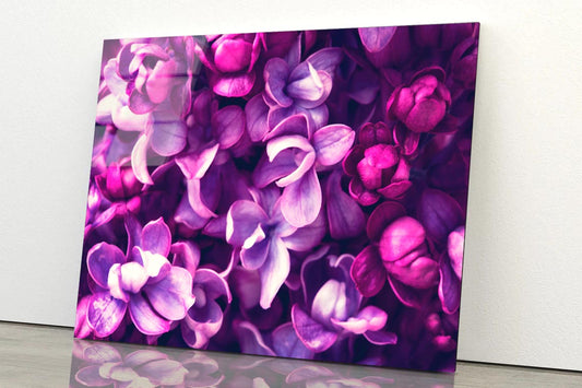 Purple Lilac Flowers Background Acrylic Glass Print Tempered Glass Wall Art 100% Made in Australia Ready to Hang