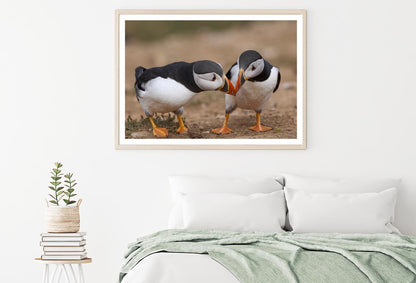 Atlantic Puffin Cliffs of Skomer Island Home Decor Premium Quality Poster Print Choose Your Sizes