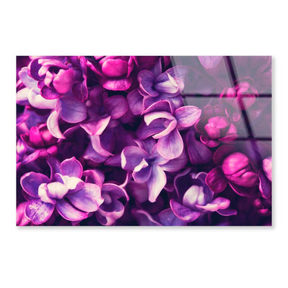 Purple Lilac Flowers Background Acrylic Glass Print Tempered Glass Wall Art 100% Made in Australia Ready to Hang