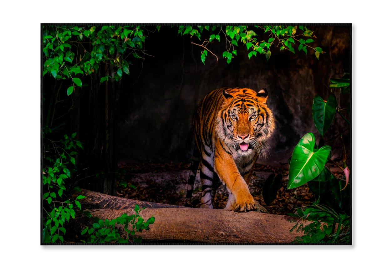 The Siberian Tiger & Forest View Home Decor Premium Quality Poster Print Choose Your Sizes