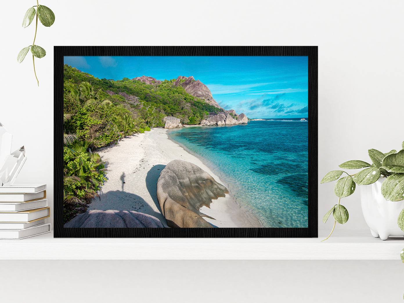 Beach Of Seychelles In La Digue Glass Framed Wall Art, Ready to Hang Quality Print Without White Border Black