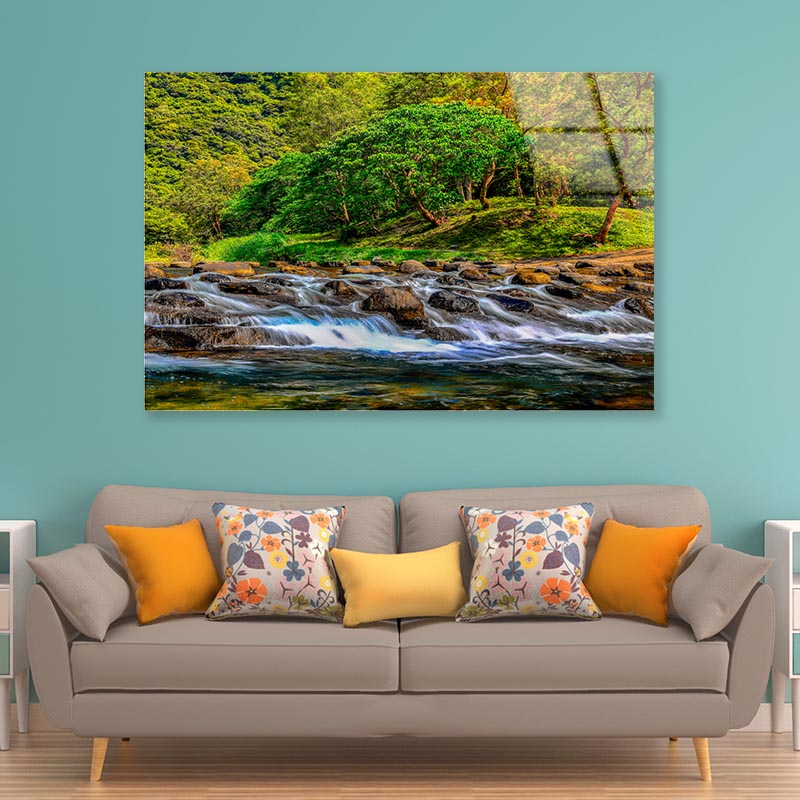 Charming Golden Yellow Forest and Valley Rapid View Acrylic Glass Print Tempered Glass Wall Art 100% Made in Australia Ready to Hang