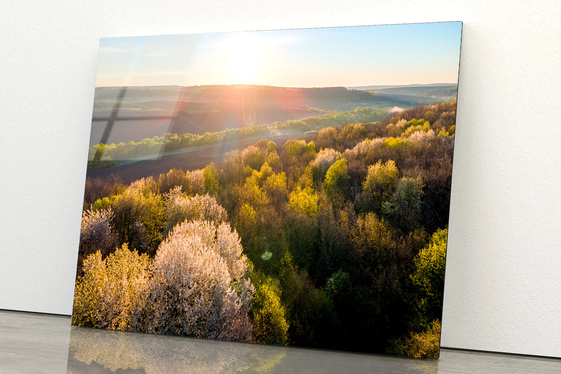 Fresh Green Trees Acrylic Glass Print Tempered Glass Wall Art 100% Made in Australia Ready to Hang