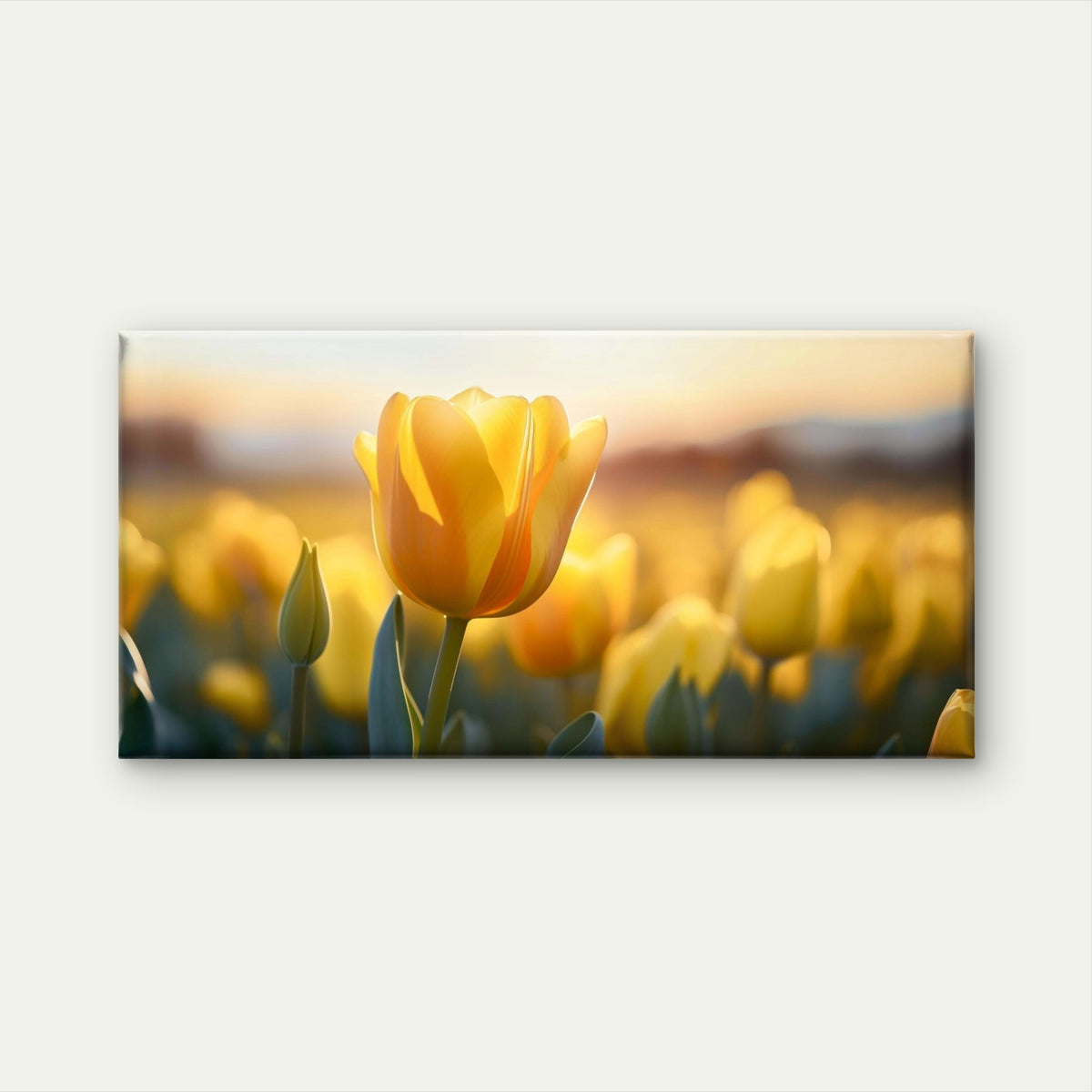 Golden Yellow Tulip Field Sunset Wall Art Canvas Office Home Framed 120x60cm