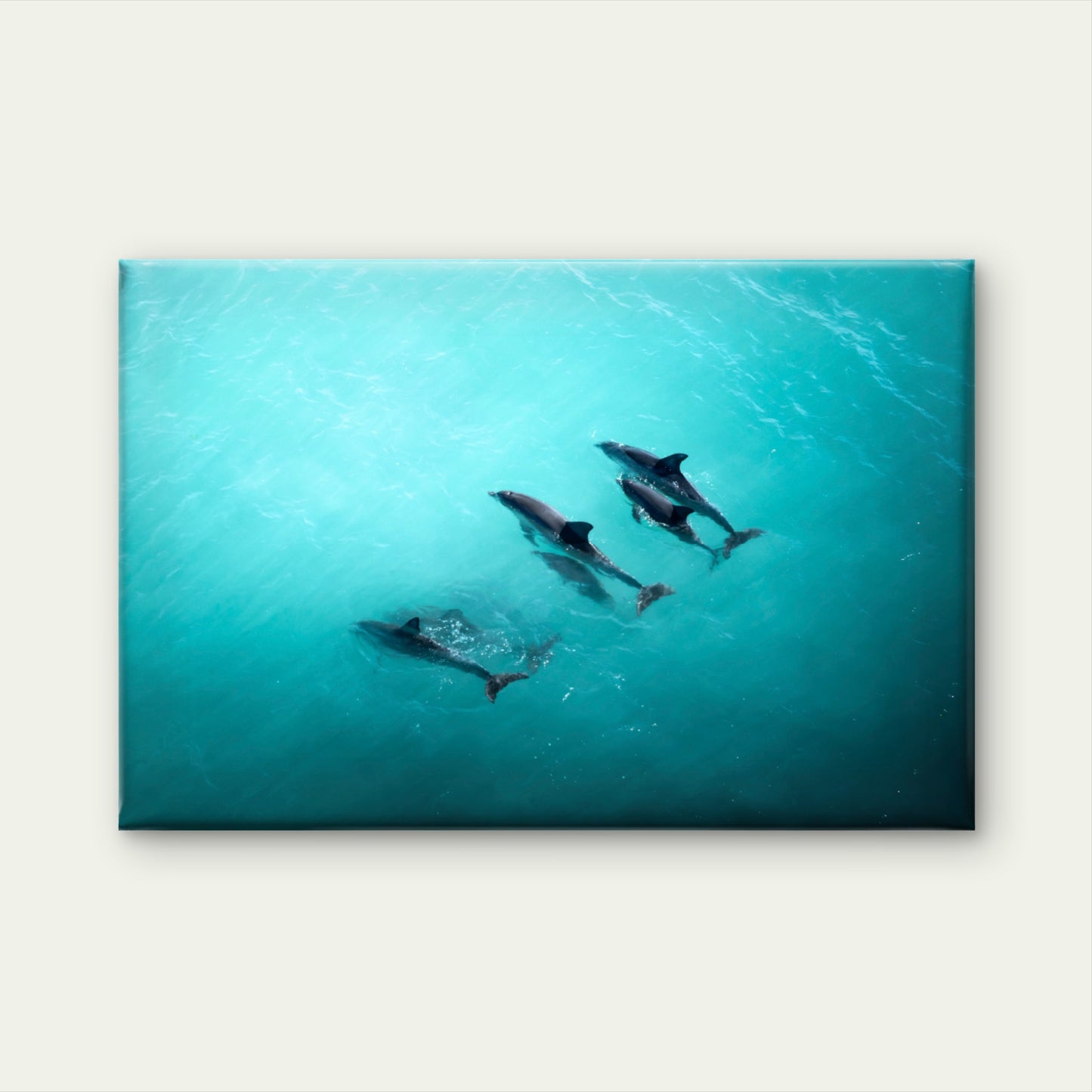 Pod of Dolphins Blue Ocean Wall Art Decor 100% Australian Made