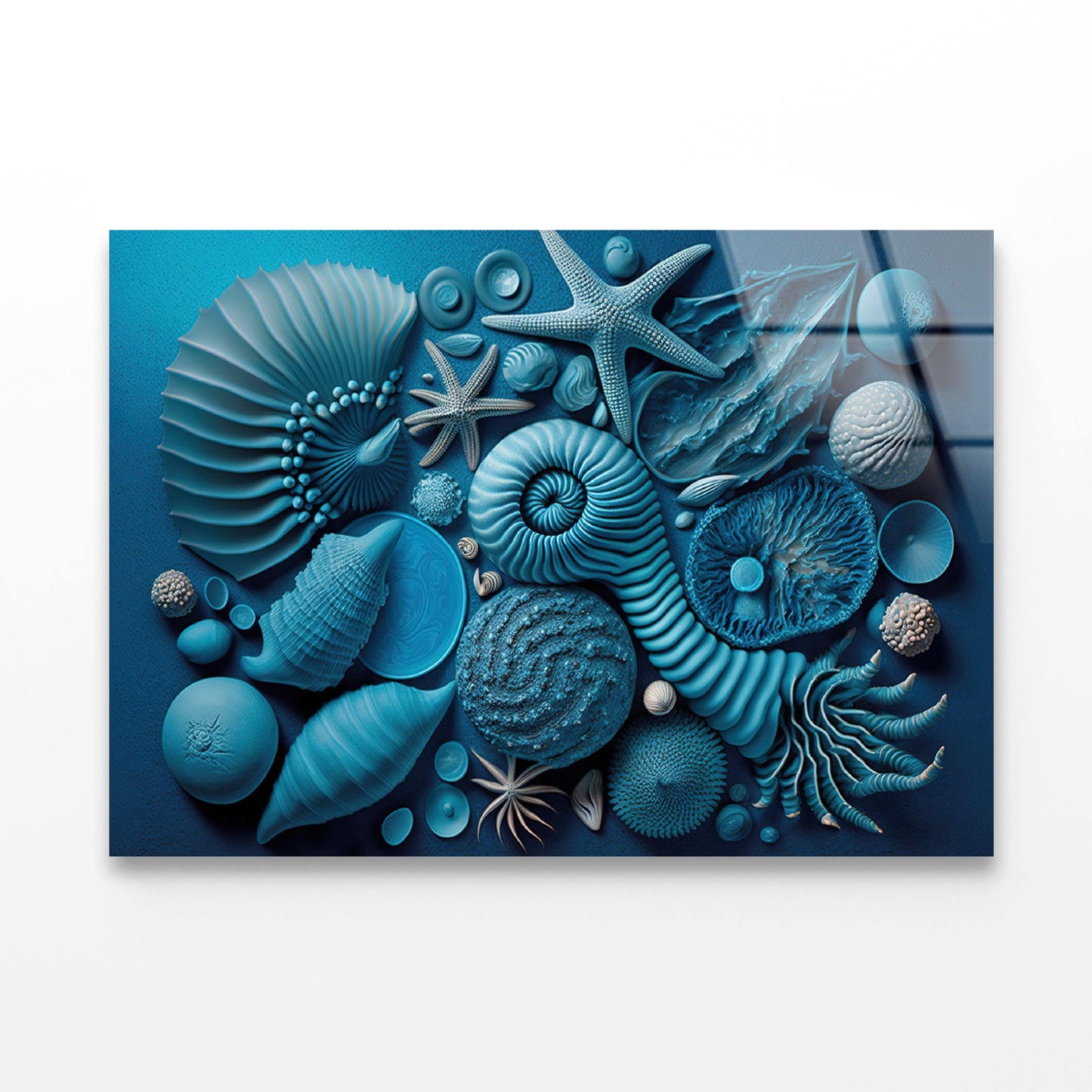 Group of Blue and White Shells Acrylic Glass Print Tempered Glass Wall Art 100% Made in Australia Ready to Hang - Bella Home Decor