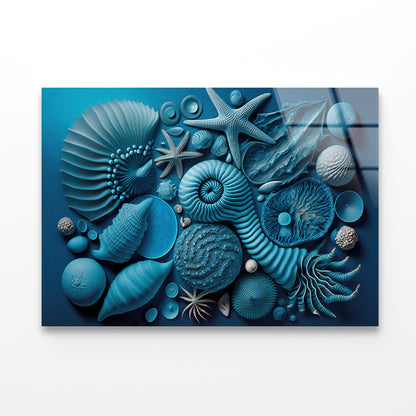 Group of Blue and White Shells Acrylic Glass Print Tempered Glass Wall Art 100% Made in Australia Ready to Hang - Bella Home Decor