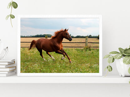 Horse Is Running On Paddock Glass Framed Wall Art, Ready to Hang Quality Print Without White Border White