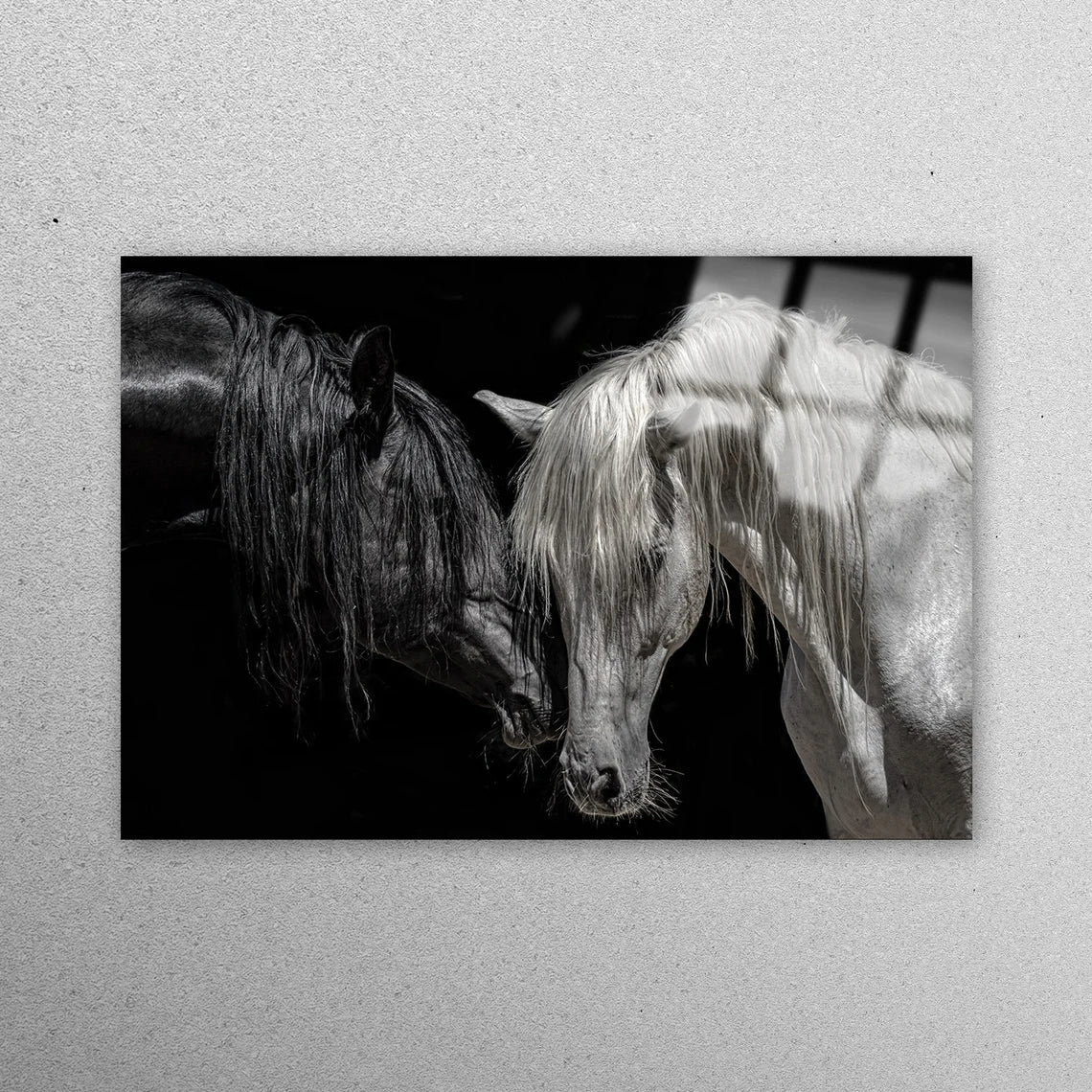 Black And White Horse Acrylic Glass Print Tempered Glass Wall Art 100% Made in Australia Ready to Hang