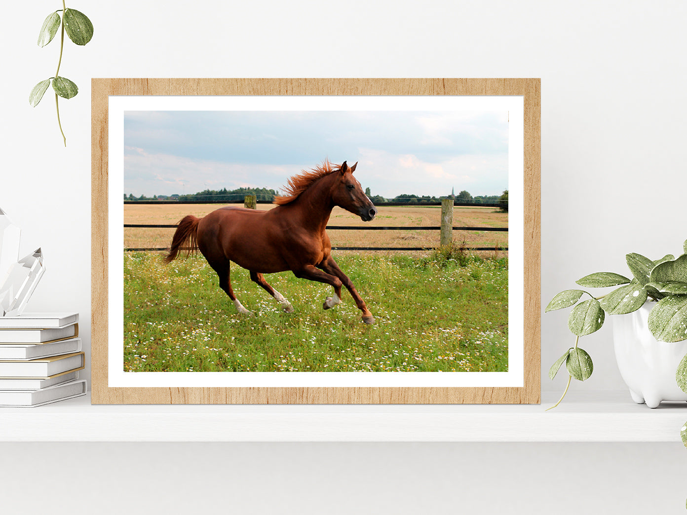 Horse Is Running On Paddock Glass Framed Wall Art, Ready to Hang Quality Print With White Border Oak