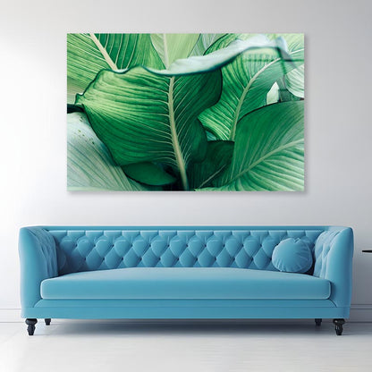 Close Up of a Plant with Green Leaves Acrylic Glass Print Tempered Glass Wall Art 100% Made in Australia Ready to Hang