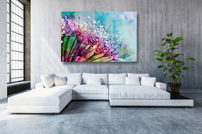 Pink Flowers Dewdrops Acrylic Glass Print Tempered Glass Wall Art 100% Made in Australia Ready to Hang