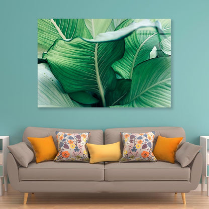 Close Up of a Plant with Green Leaves Acrylic Glass Print Tempered Glass Wall Art 100% Made in Australia Ready to Hang