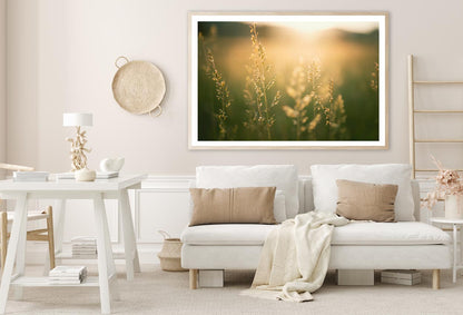 Green Grass in Summer Forest at Sunset Home Decor Premium Quality Poster Print Choose Your Sizes - Bella Home Decor
