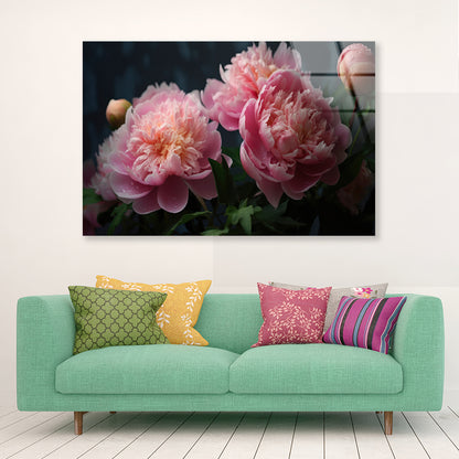 A Vase Filled With Fresh Pink Peonies Acrylic Glass Print Tempered Glass Wall Art 100% Made in Australia Ready to Hang - Bella Home Decor