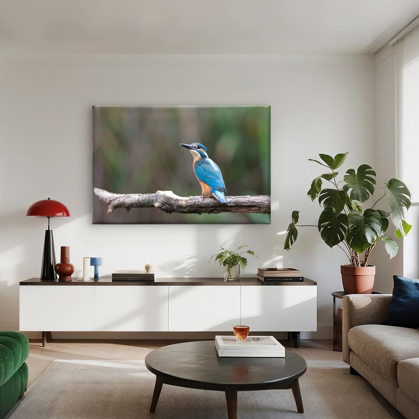 Common kingfisher perched on a branch in Sri Lanka  Wall Art Decor 100% Australian Made