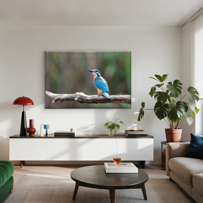 Common kingfisher perched on a branch in Sri Lanka  Wall Art Decor 100% Australian Made