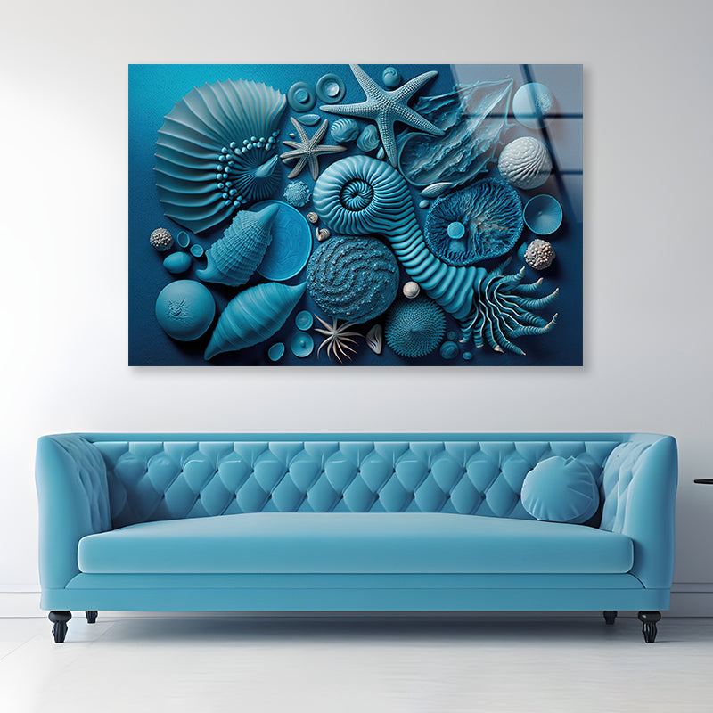 Group of Blue and White Shells Acrylic Glass Print Tempered Glass Wall Art 100% Made in Australia Ready to Hang - Bella Home Decor