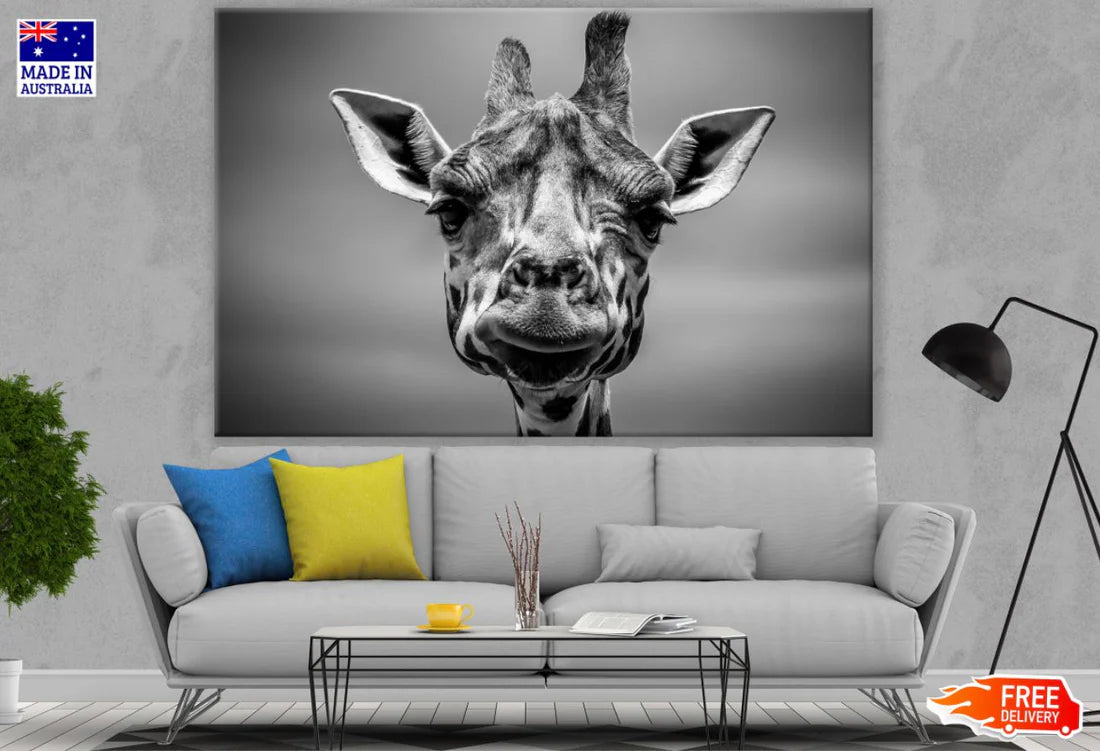 Giraffe Portrait B&W Photograph 90x60cm Print 100% Australian Made