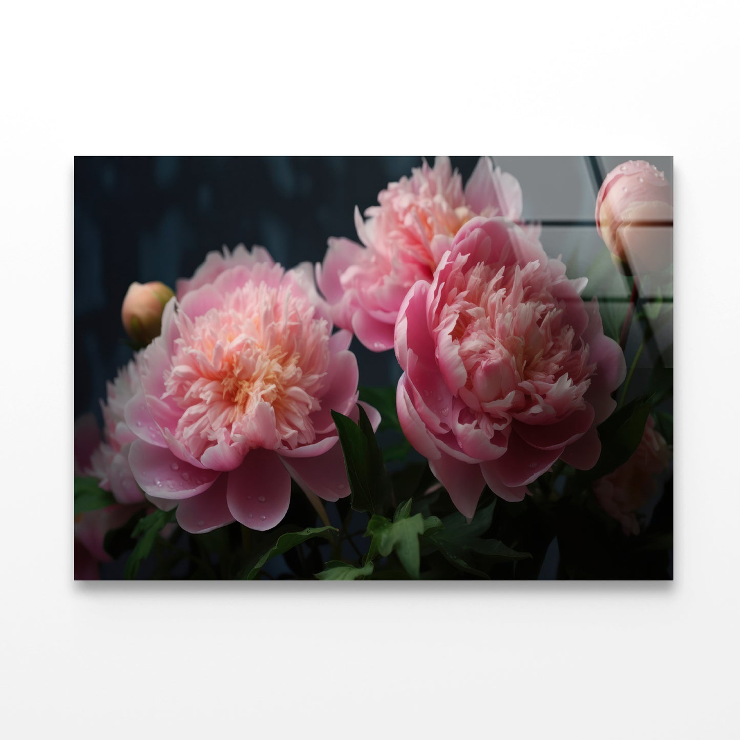 A Vase Filled With Fresh Pink Peonies Acrylic Glass Print Tempered Glass Wall Art 100% Made in Australia Ready to Hang - Bella Home Decor