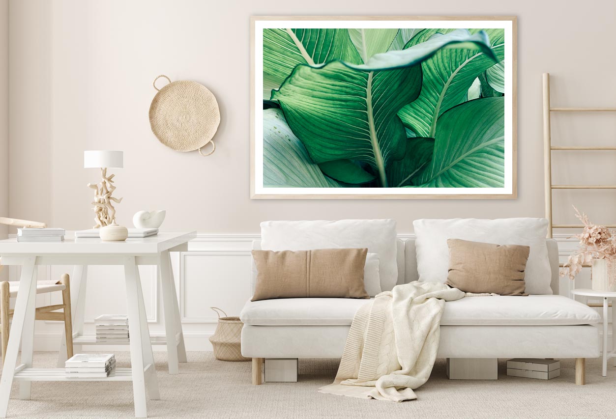 Close Up of a Plant with Green Leaves Home Decor Premium Quality Poster Print Choose Your Sizes