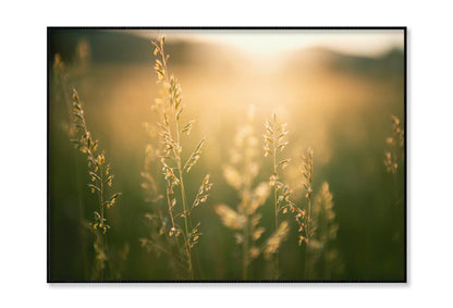 Green Grass in Summer Forest at Sunset Home Decor Premium Quality Poster Print Choose Your Sizes - Bella Home Decor