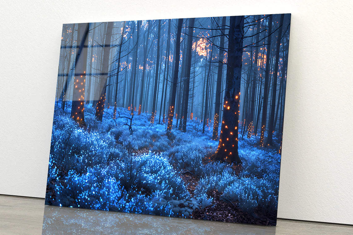 Forest in the Night Acrylic Glass Print Tempered Glass Wall Art 100% Made in Australia Ready to Hang - Bella Home Decor