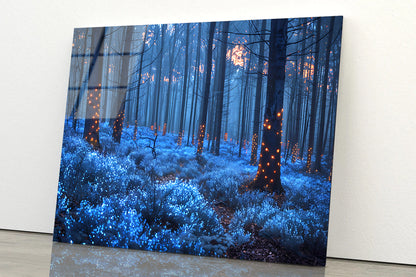 Forest in the Night Acrylic Glass Print Tempered Glass Wall Art 100% Made in Australia Ready to Hang - Bella Home Decor