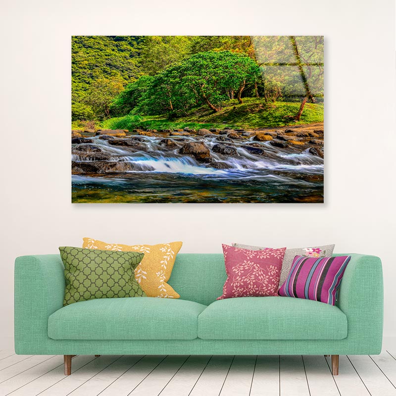 Charming Golden Yellow Forest and Valley Rapid View Acrylic Glass Print Tempered Glass Wall Art 100% Made in Australia Ready to Hang