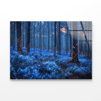 Forest in the Night Acrylic Glass Print Tempered Glass Wall Art 100% Made in Australia Ready to Hang - Bella Home Decor