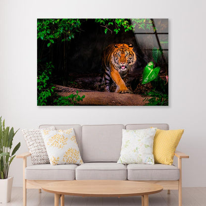 The Siberian Tiger & Forest View Acrylic Glass Print Tempered Glass Wall Art 100% Made in Australia Ready to Hang