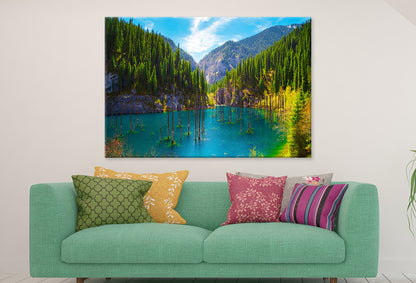 Sunken Forest in Kaindy Lake, Kaz Wall Art Decor 100% Australian Made - Bella Home Decor