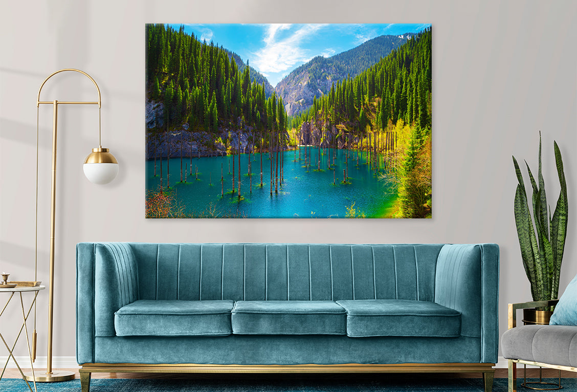 Sunken Forest in Kaindy Lake, Kaz Wall Art Decor 100% Australian Made - Bella Home Decor