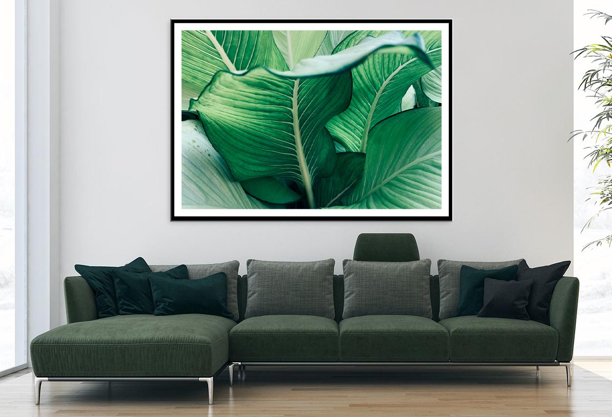 Close Up of a Plant with Green Leaves Home Decor Premium Quality Poster Print Choose Your Sizes