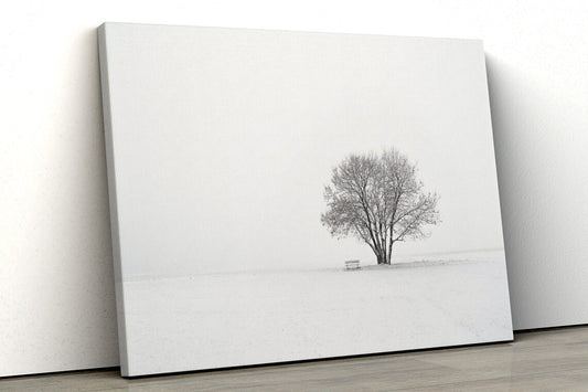 Trees in winter snow UV Direct Aluminum Print Australian Made Quality